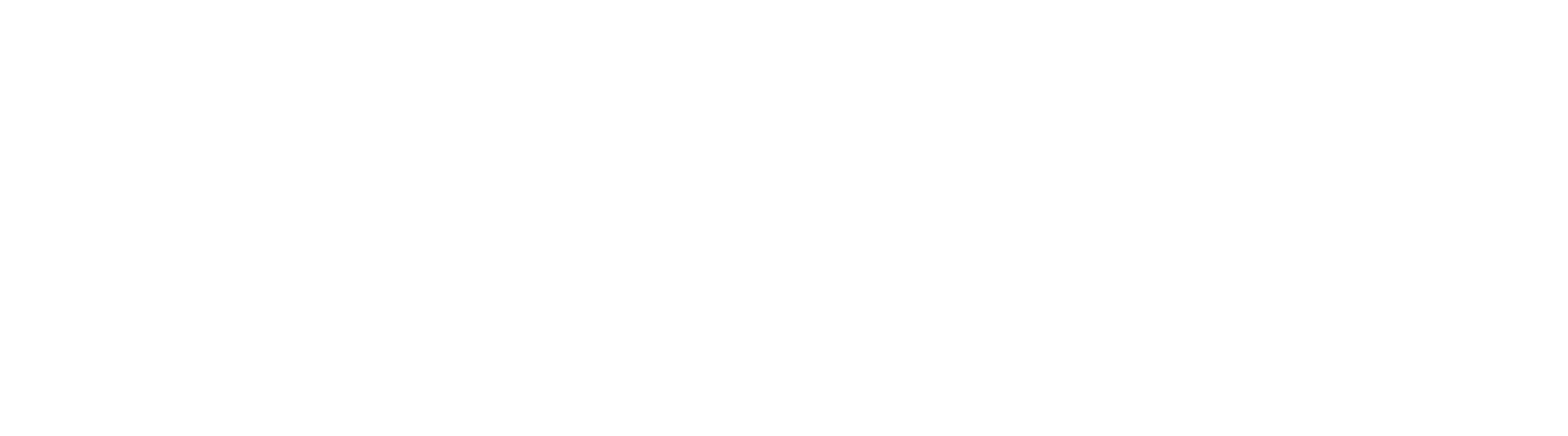 Logo Hozzway Group - blanc